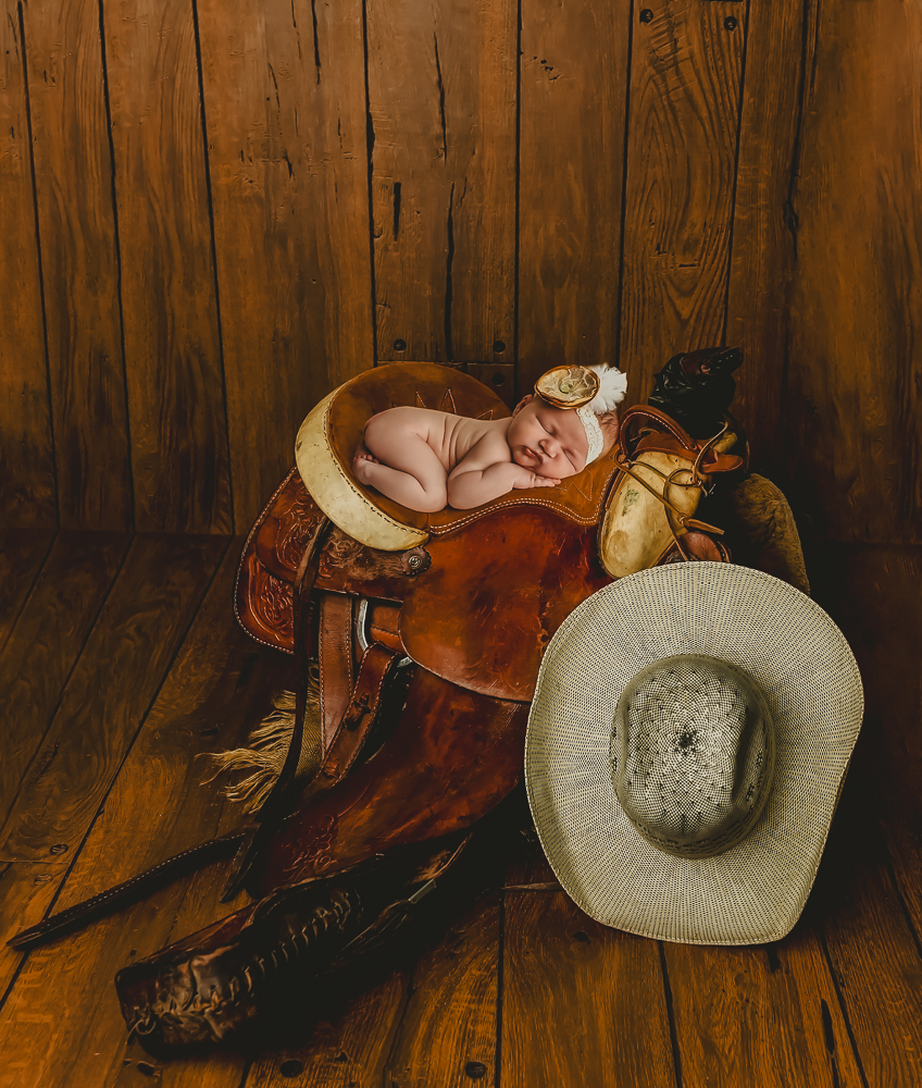 Baby saddle photo